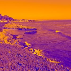 Meet your Posher, Sunshine